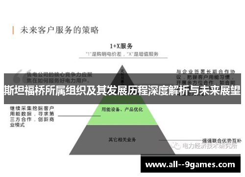 斯坦福桥所属组织及其发展历程深度解析与未来展望 斯坦福桥所属组织及其发展历程深度解析与未来展望