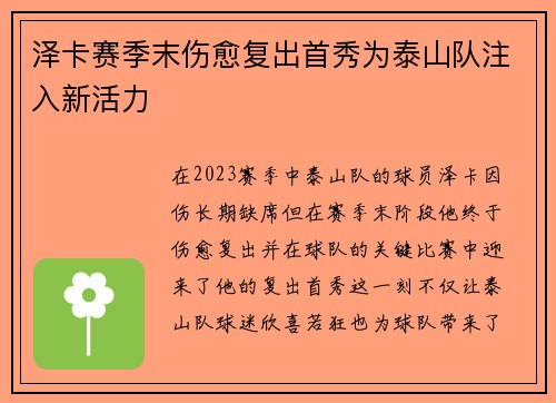 泽卡赛季末伤愈复出首秀为泰山队注入新活力 泽卡赛季末伤愈复出首秀为泰山队注入新活力